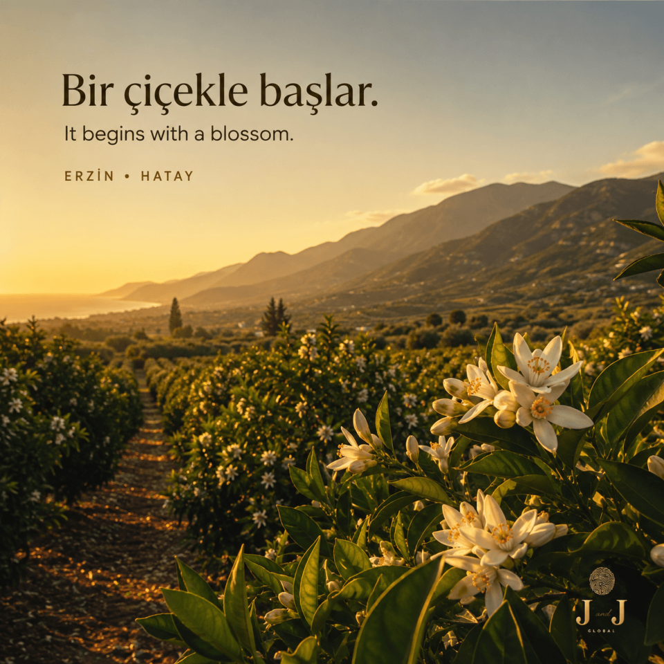 Hatay Yöresi Doğal Erzin - Narenciye Çiçeği Balı - 870 gr Cam Kavanoz